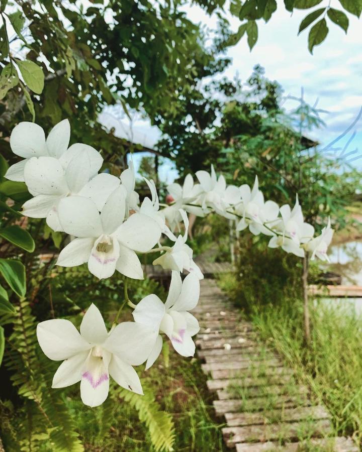Rang Robin Farmstay For 4 With Pool Ban Wang Muang Екстериор снимка